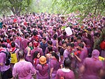 Batalla del vino de Haro.