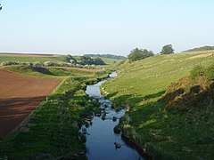 Blackadder Water from the Lintmill Bridge.jpg