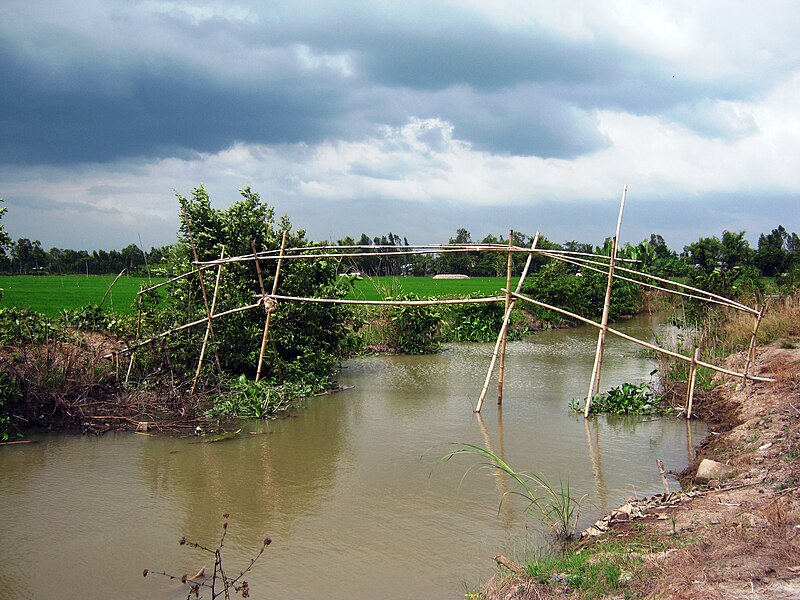 File:Cầu khỉ.jpg