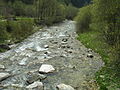 Il torrente Cismon a Mezzano