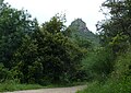 Chapelle Saint-Jean d'Ollon