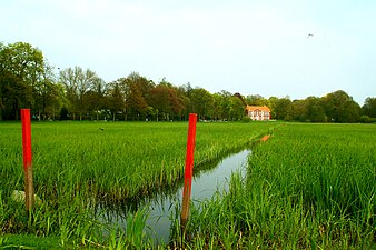 De Dammaschwiese, april 2011. Op de achtergrond de Thaersche Villa.