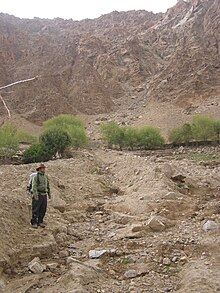 A debris flow in Ladakh, triggered by storms in 2010. It has poor sorting and levees. Steep source catchment is visible in background. Debris flow deposit, Ladakh, NW Indian Himalaya (2).JPG