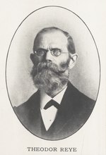 Miniatura per Theodor Reye