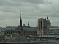 Die Notre Dame de Paris von der Seite