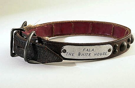 Fala's collar at the Franklin Delano Roosevelt Presidential Library and Museum