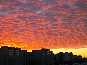 Февральский закат в Таллине, Эстония