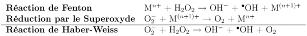 Génération des radicaux hydroxyle par les réactions de Fenton et d'Haber-Weiss.