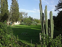 Gibton, with cactus in the foreground.jpg