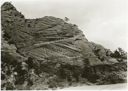 Crossbedding of sandstone near Mt. Carmel road, Zion Canyon, indicating wind action and sand dune formation prior to formation of rock (NPS photo by George A. Grant, 1929)