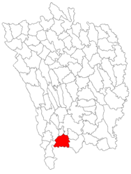 Location in Vaslui County