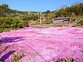 2019年11月14日 (木) 04:21時点における版のサムネイル