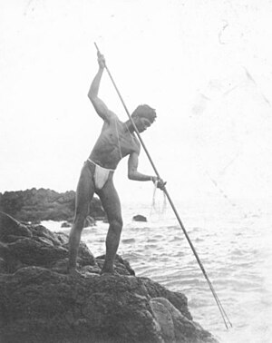 English: Hawaiian spear fisherman near Hana; M...