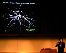 The Human Brain Project is a large scientific research project, starting in 2013, which aims to simulate the complete human brain. Henry Markram - Visualizing Synaptic Maps onto Neocrortical Neurons.jpg