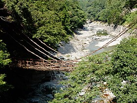 祖谷のかずら橋