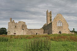 Kilmallock Priory W 2007 08 08.jpg