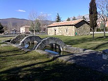 Fontes Tamarici, in Spain. La Reana2.jpg