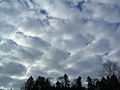 Miniatura Stratocumulus