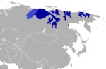 Miniatura para Lenguas siberianas septentrionales