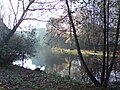 Herbst am Mühlenteich