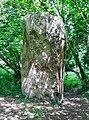 L'un des trois menhirs de Kergloglé (dit Kergloglé A) en Plovan.