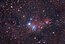 Туманность Рождественская елка NGC 2264.jpg
