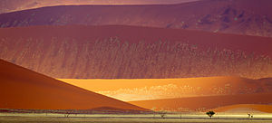 Намиб-Науклуфт миллет паркда къум дюнала, Намибия