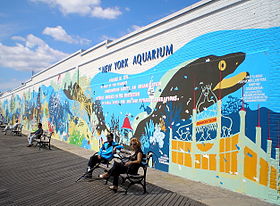 Image illustrative de l’article Aquarium de New York