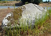 Menhir de Kerdalae-Plonivel