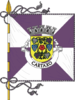 Flag of Cartaxo