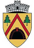 Wappen von Băiuț