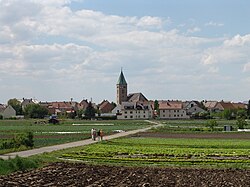 Skyline of Sennfeld