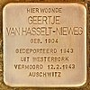 Stolpersteine[2]