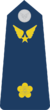 Thiếu Úy-Airforce 1.png