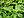 Berkas: Tithonia rotundifolia 'Fiesta Del Sol' Leaves and Emerging Flower 1600px.jpg (row: 26 column: 22 )