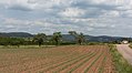 tussen Wittlich en Bergweiler, wegpanorama