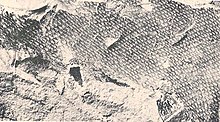 Scales of Tylosaurus proriger (KUVP-1075) Tylosaurus skin.jpg