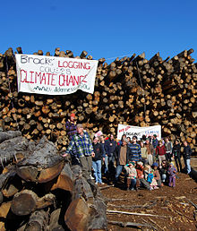 A protest on World Environment Day in Victoria Victorian Central Highlands log dump 03 Pengo.jpg