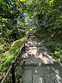 「大山坂」の大階段