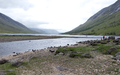 Loch Etive