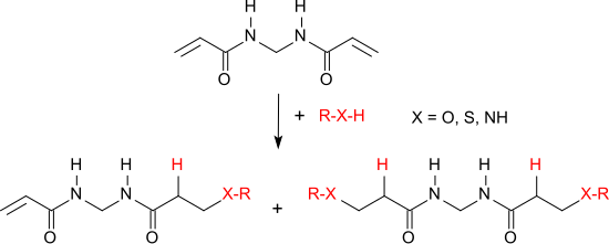 Nukleophile Addition an N,N′-Methylenbisacrylamid