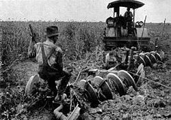 A tractor ploughing an alfalfa field