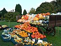 Exhibición en otoño de los frutos de varias especies y variedades de calabazas