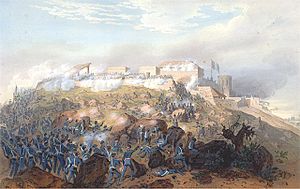 Battle Of Mexico