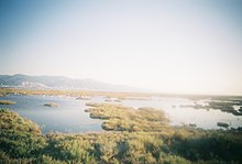 Photograph of a flat landscape with low vegetation and ponds. There is a flock of water birds and hills in the background.