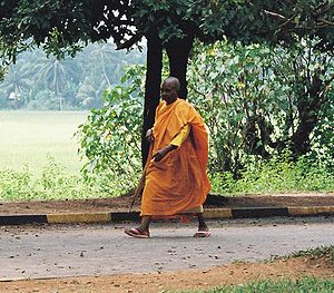 Buddhist Monk in Sri Lanka.