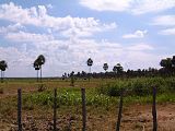 Cattle ranch, Presidente Hayes department.