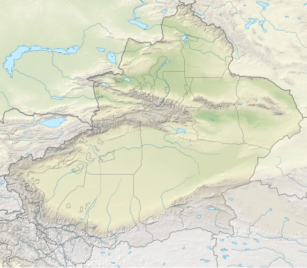 Anglo-Araneophilus/Umerziehungs- und Hafteinrichtungen in Xinjiang (Xinjiang)