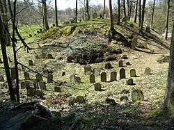 Starý židovský hřbitov v Chodové Plané