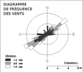 Vignette pour la version du 29 décembre 2007 à 17:20